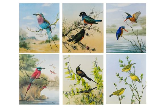A set of six bird studies - Rena Fennessy