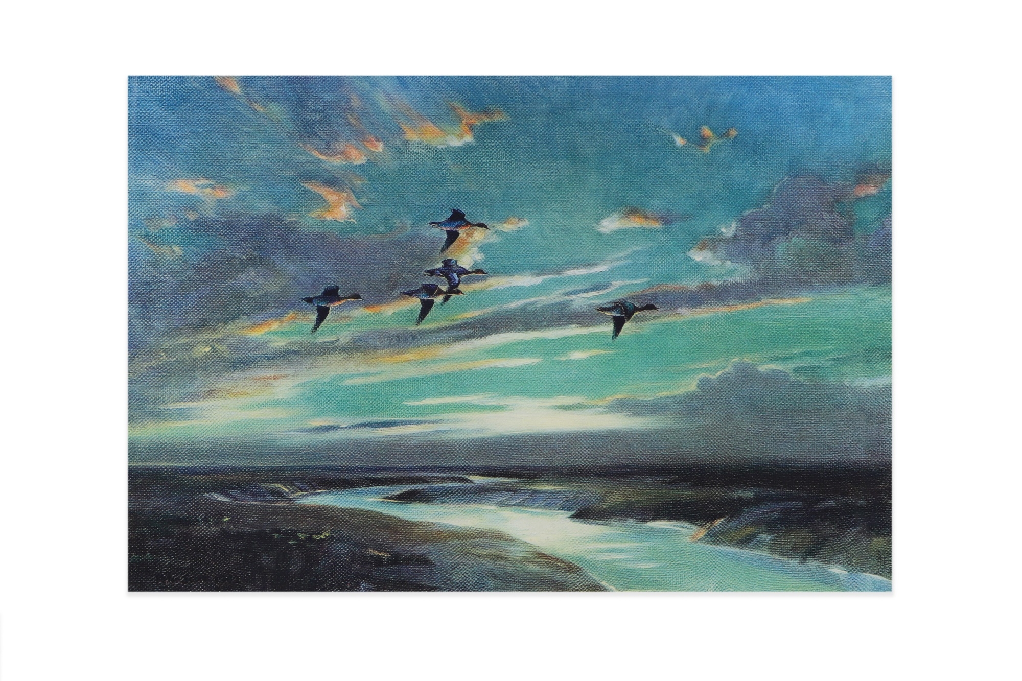 Peter Markham Scott | Geese Landing | MutualArt