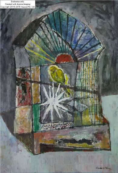 Bird in a cage by James Neal