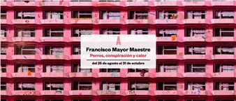 Francisco Mayor Maestre: Perros, Conspiración Y Calor - Aurora Vigil-Escalera