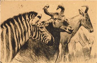 Antelopes and Zebra (Kuhantilopen und Zebra) - Wilhelm Kuhnert