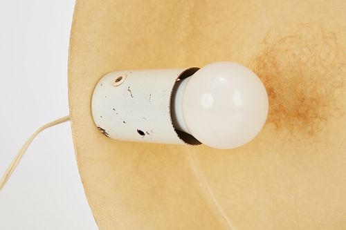 Artwork by Bill Lam, Table lamp, Made of Fiberglass, birch