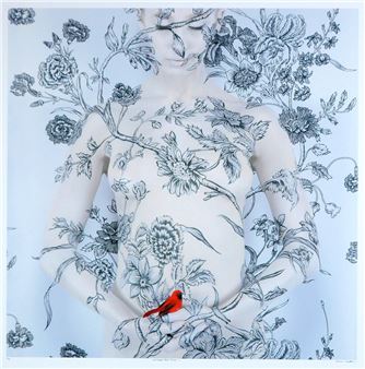 Wallpaper Red Bird II - Emma Hack