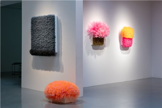 Colorado Women to Watch - Center for Visual Art 