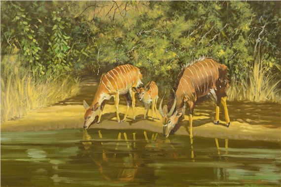 Nyala at a Watering Hole by Bert Lewington, '86