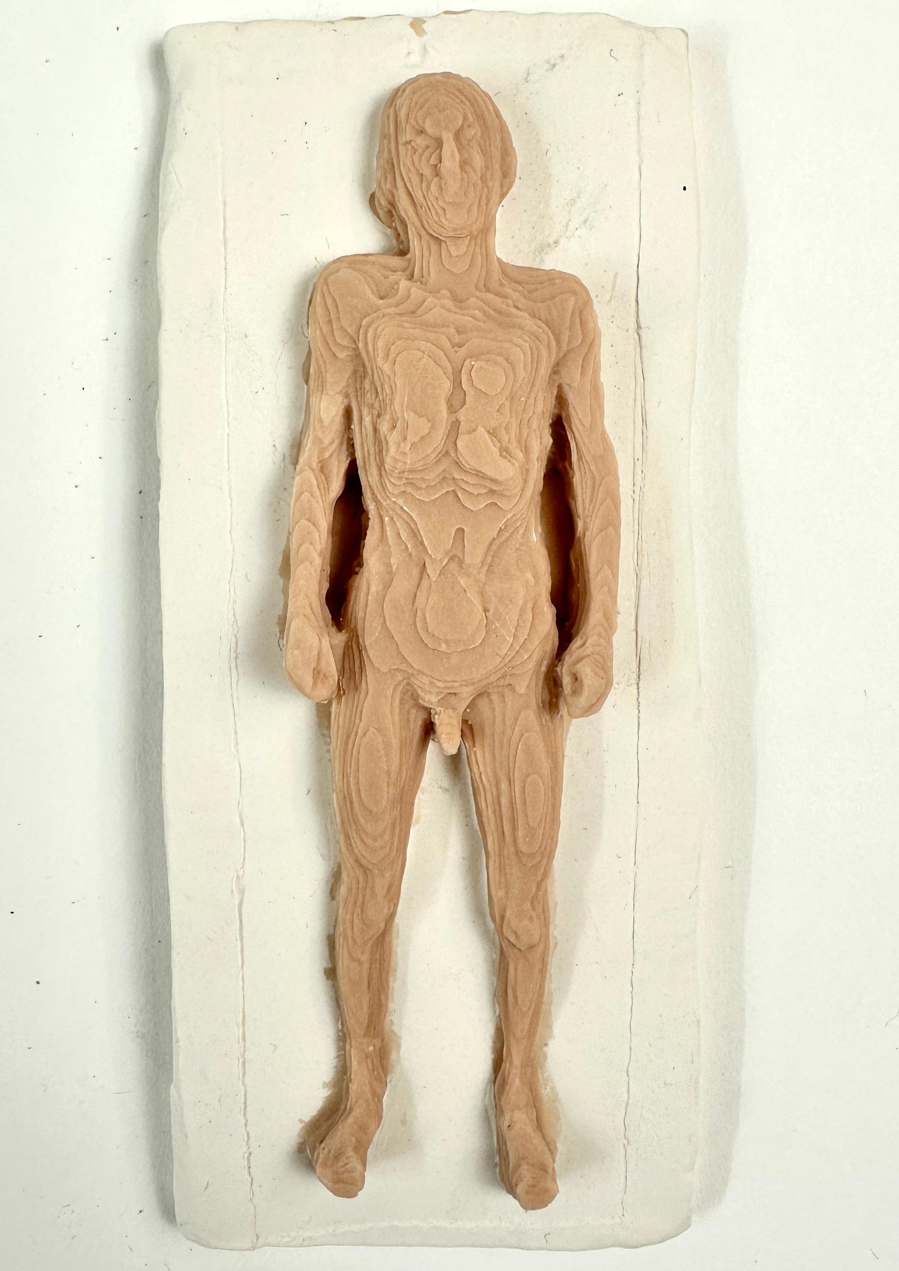 Tim Hawkinson | Homonculus (1996) | MutualArt