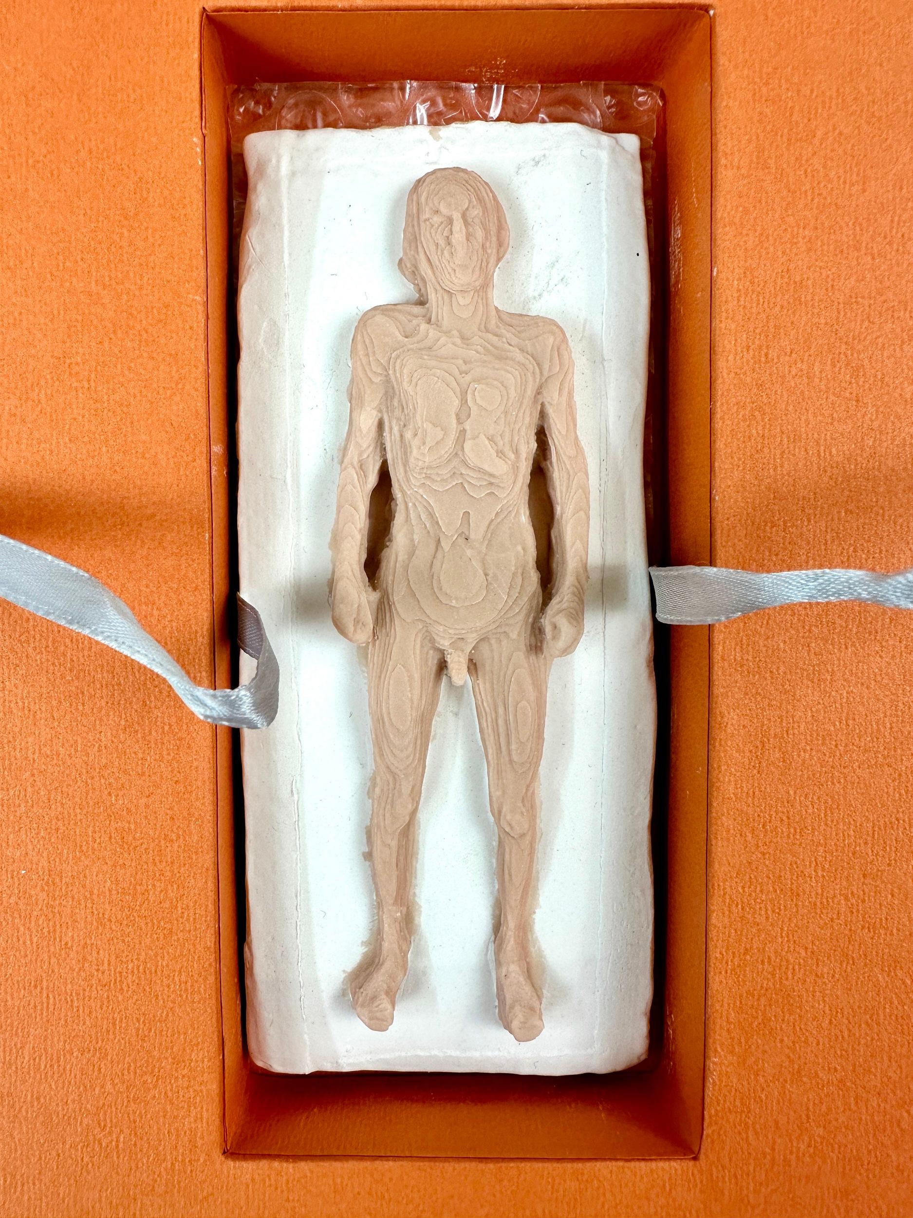Tim Hawkinson | Homonculus (1996) | MutualArt
