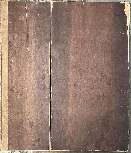 Artwork by V. Guerin, Relief plan of Jerusalem and its surroundings, Made of relief