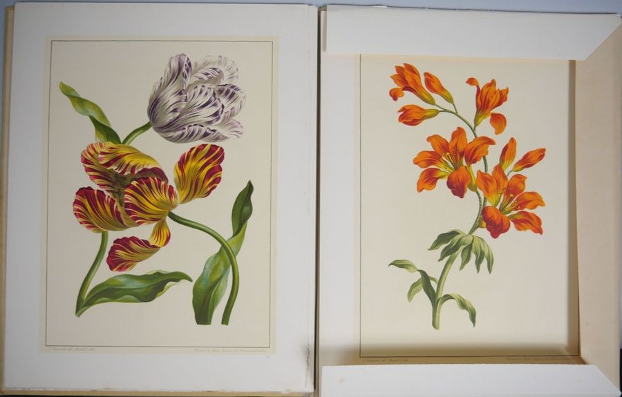 John Edwards | Collection de Douze Bouquets par John Edward - Peint de ...
