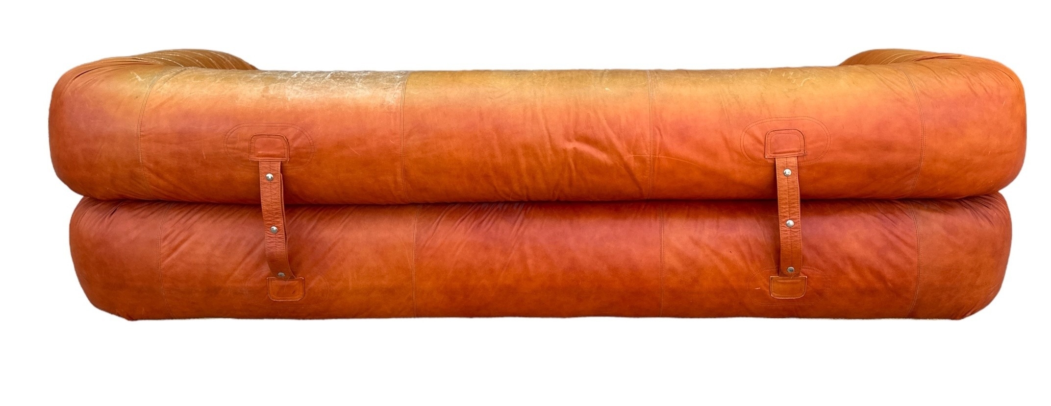 Artwork by Alessandro Becchi, "Anfibio" Sofa