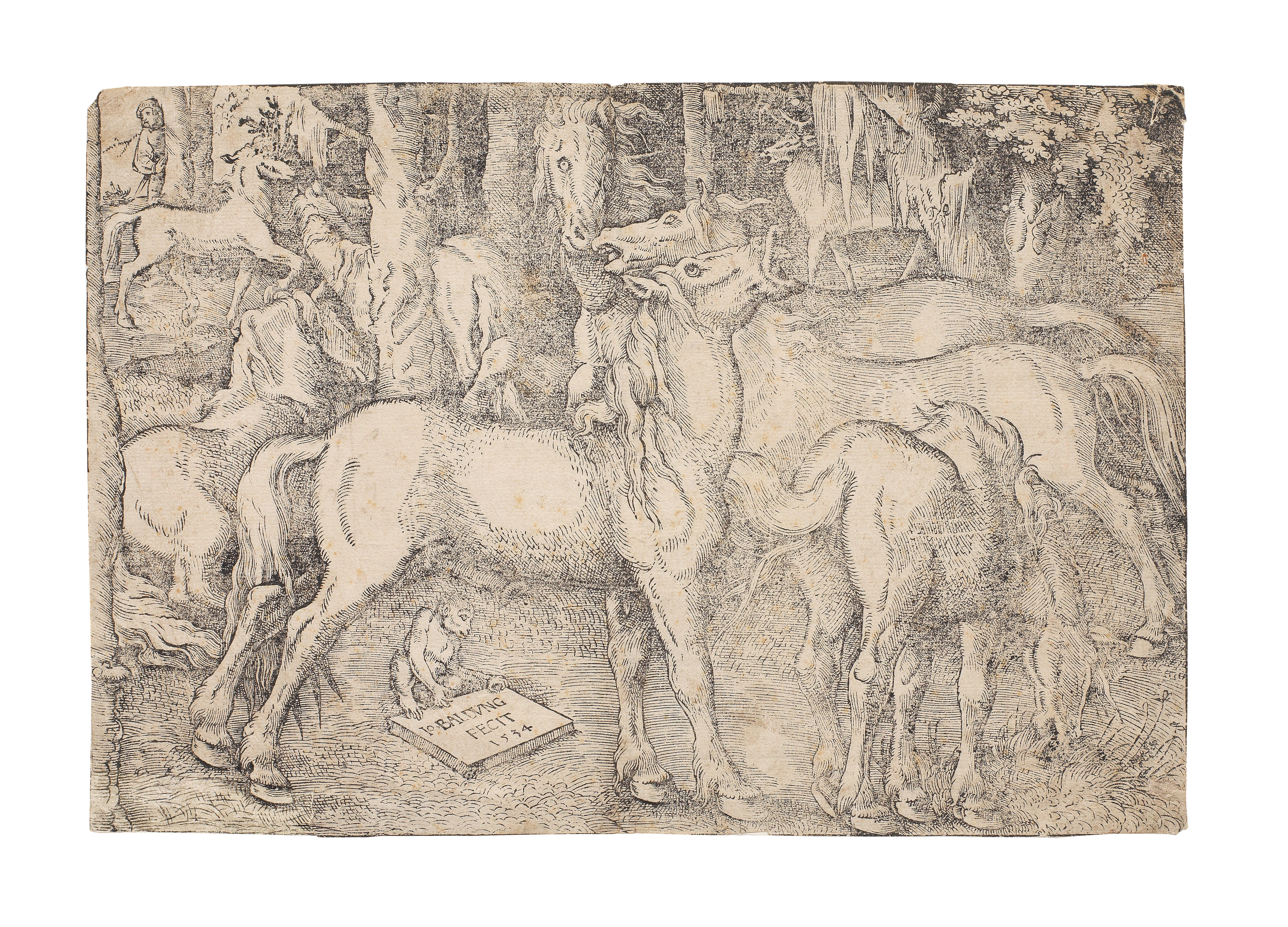 Group of Seven Wild Horses and a Monkey by Hans Baldung Grien, 1534