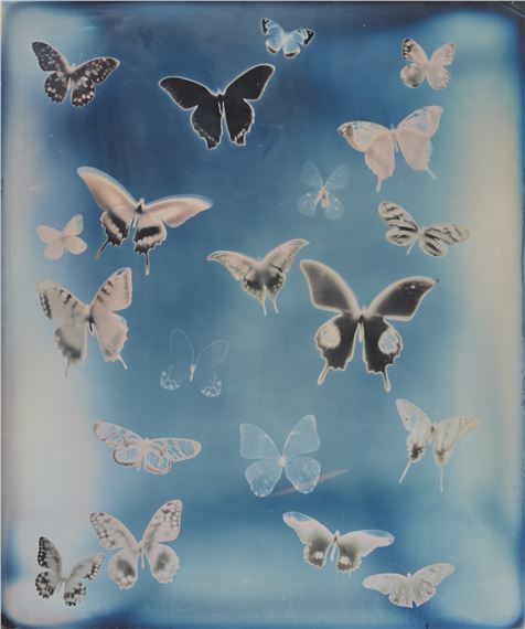 Adam Fuss | Untitled (from My Ghost) (2000) | MutualArt