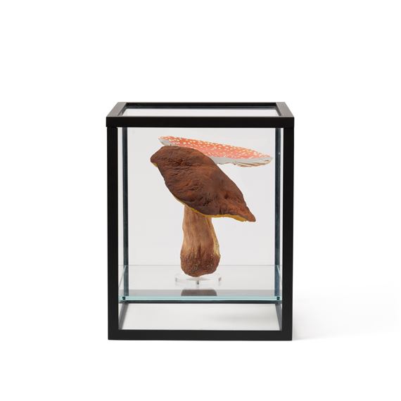 Doppelpilzvitrine (1 Doppelpilz) (Double-mushroom showcase (1 double-mushroom)) by Carsten Höller, Executed in 2009/10.