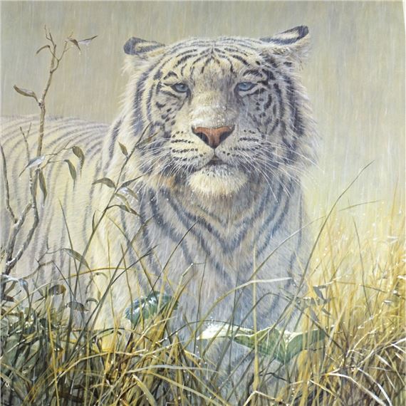 John Seerey-Lester | Monsoon White Tiger | MutualArt