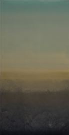 Virginia Katz — Spent Lights and Passing Skies