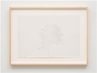 Numbers and Trees: Drawing 48
2017 Picture