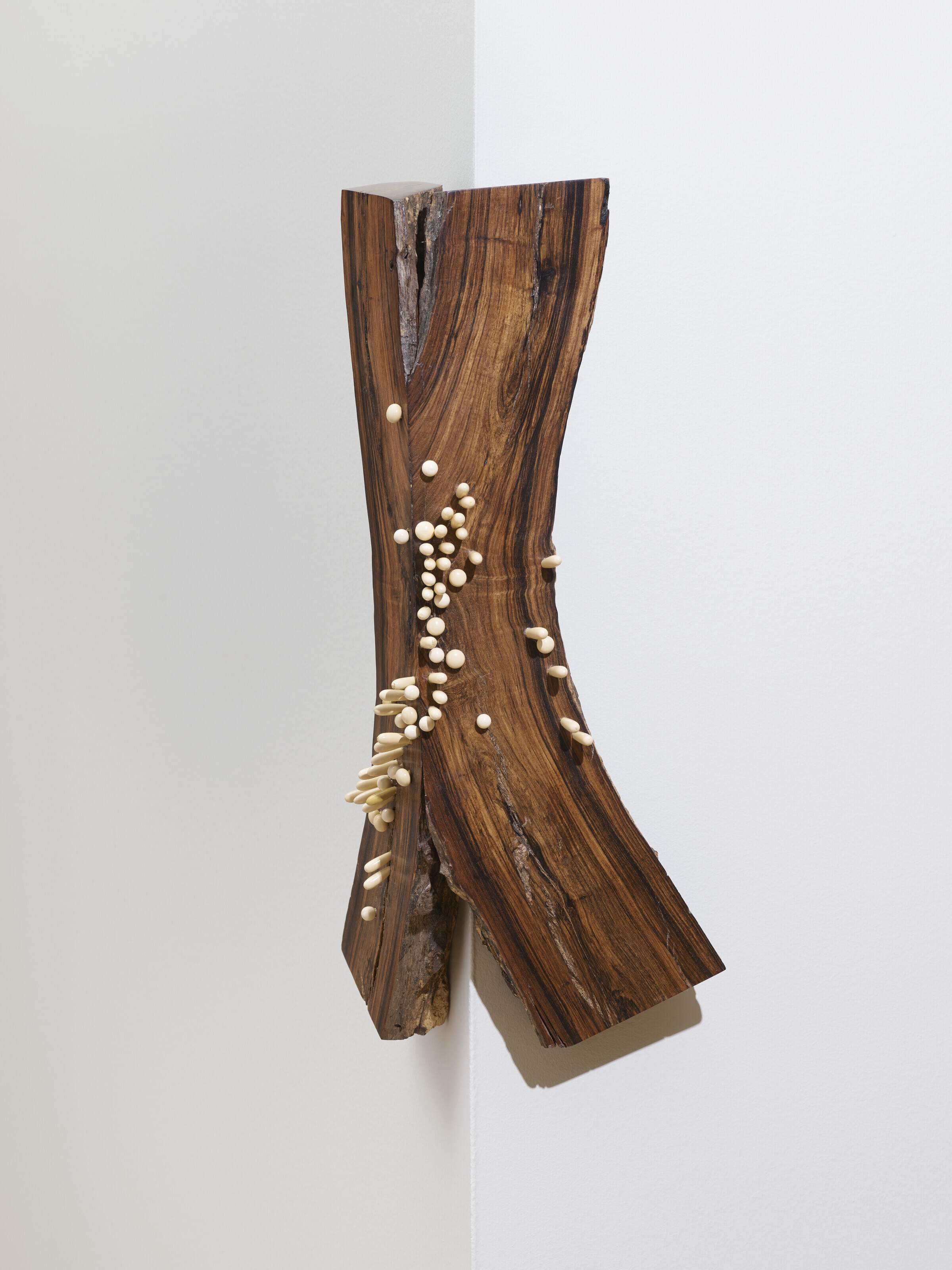 Artwork by Ranjani Shettar, Remenence from Last Night's Dream, Made of rosewood and lacquered wood