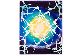 David Krut Projects first solo exhibition with Raquel van Haver opening today