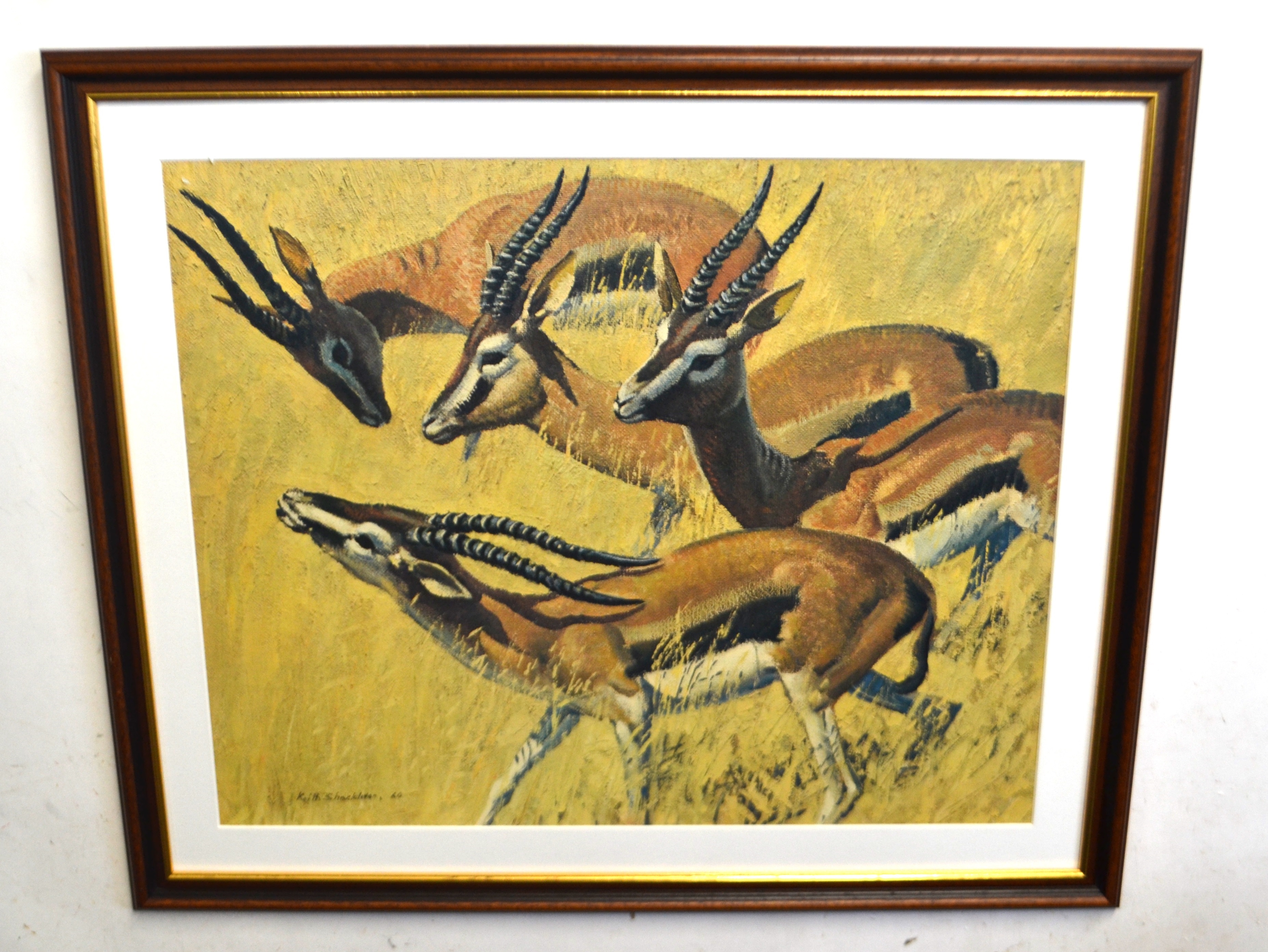 Gazelle Art