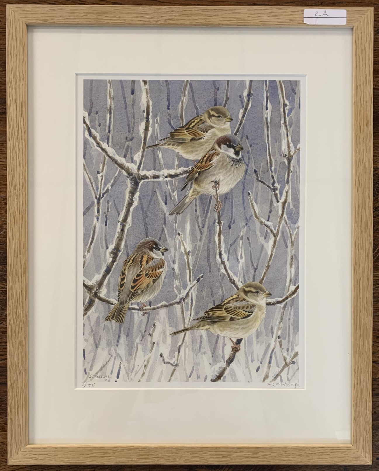 Artwork by Stephen Message, Sparrows perched on snow covered branches, Made of giclee in colours