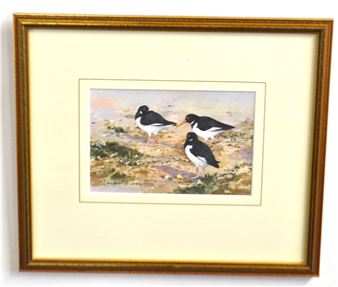 Oyster Catchers - Brian Day