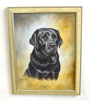 "Seal", portrait of a black labrador - Philippa Porley
