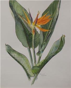 - Botanical study - Brenda Moore