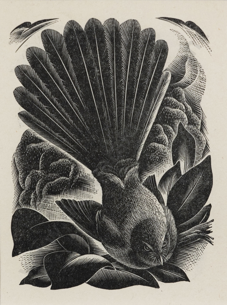 Artwork by E. Mervyn Taylor, Fantail, Made of woodblock