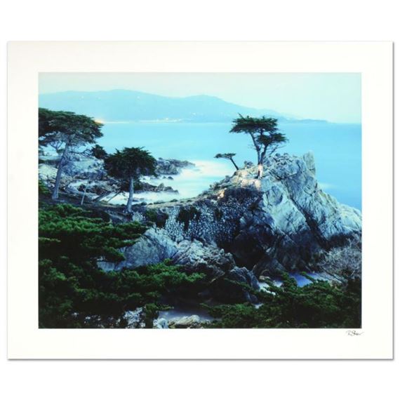 Spirits Honoring The Lone Cypress by Robert Sheer