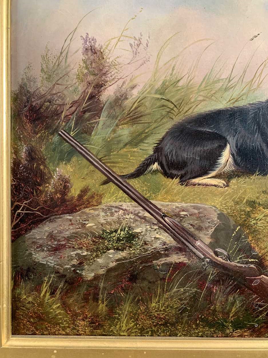 Colin Graeme Roe | Old Dash, a Border Collie, guarding the day's bag ...