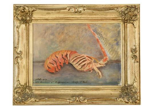 Still life of lobster - Rhoda Birley