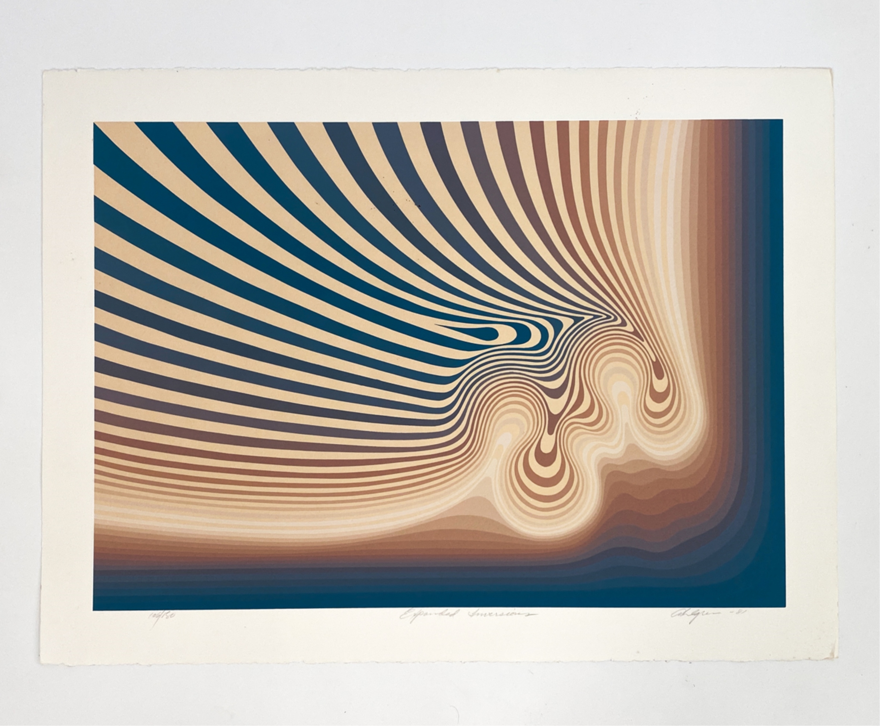 Roy Ahlgren | Expanded Inversion. (1981) | MutualArt