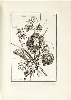 Livre de fleurs dessinées d’après nature - Jacques Vauquer