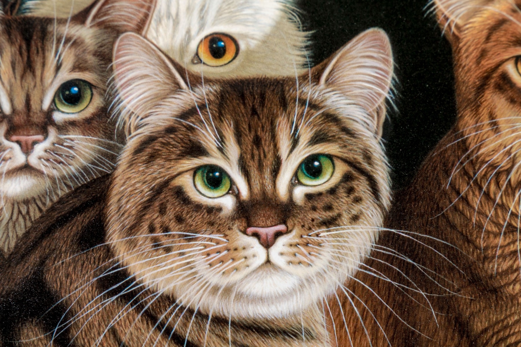 Braldt Bralds | Cabinet Meeting With Cats (1996) | MutualArt