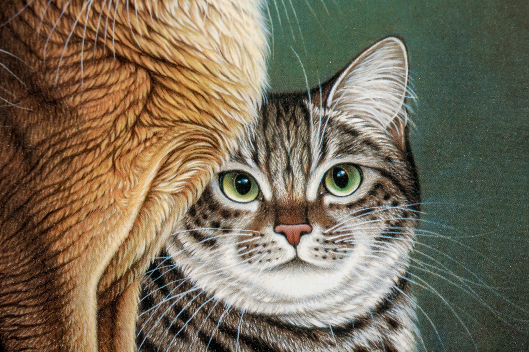 Braldt Bralds | Cabinet Meeting With Cats (1996) | MutualArt