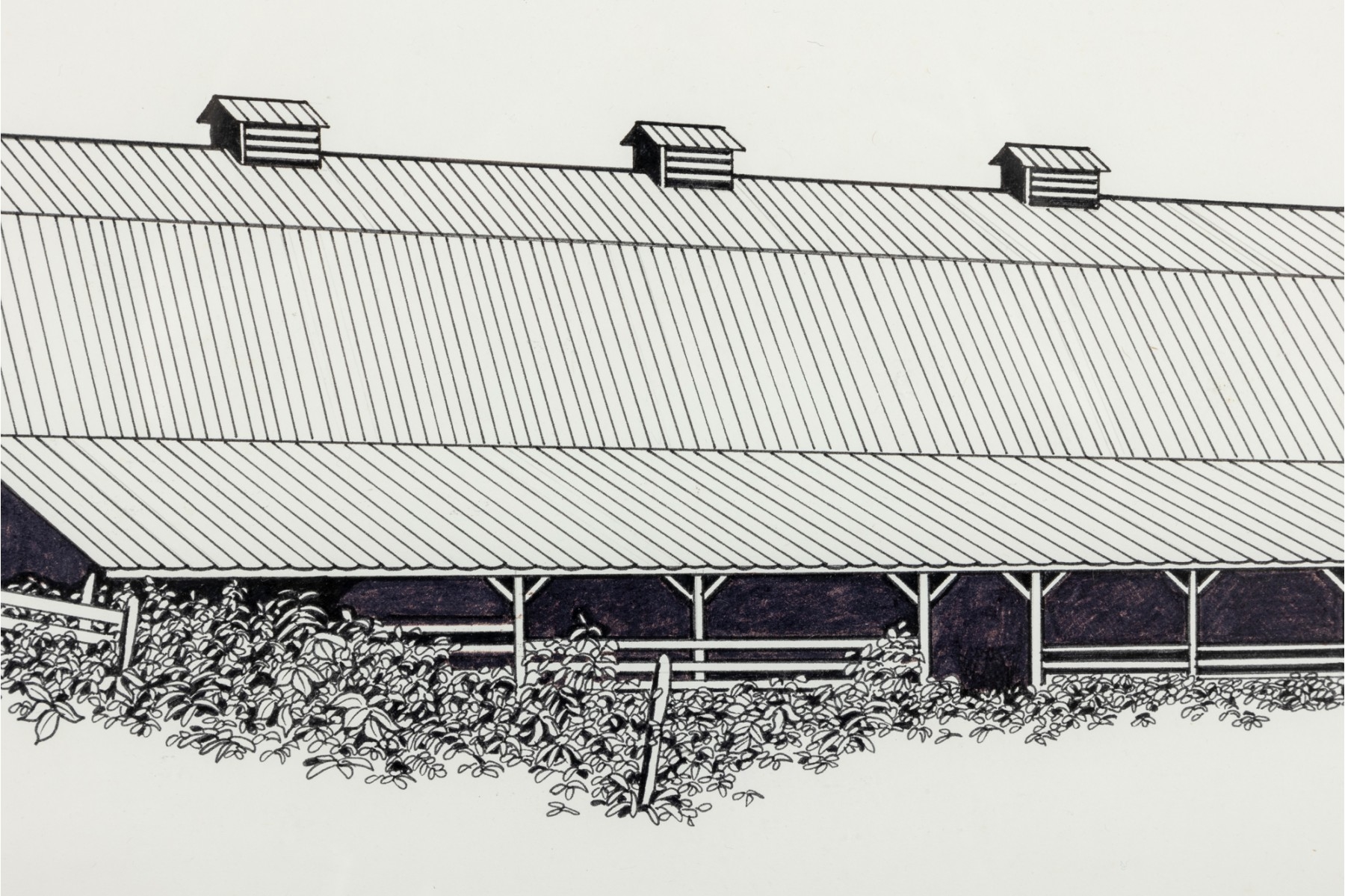Ward H. Nichols | SHENANDOAH BARN | MutualArt