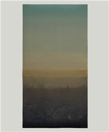 Virginia Katz — Spent Lights and Passing Skies