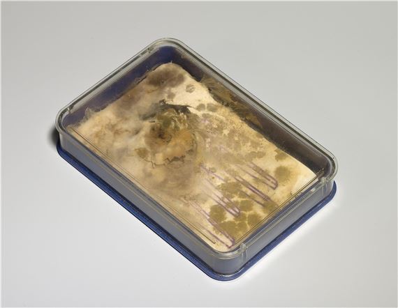 Dieter Roth | TASCHENZIMMER (1982) | MutualArt