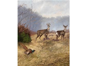 REHE AUF EINER LICHTUNG - Franz Otto Wieduwilt