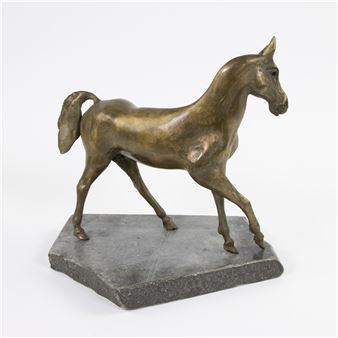 Horse - Ronny   Paesbrugghe