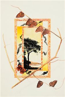 Untitled - Colum Murphy