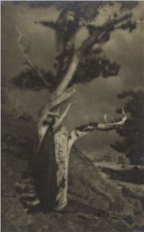 KunstFotografie　ビンテージ写真　1839年～1945年までの写真 KunstFotografie ビンテージ写真 1839年～1945年までの写真
