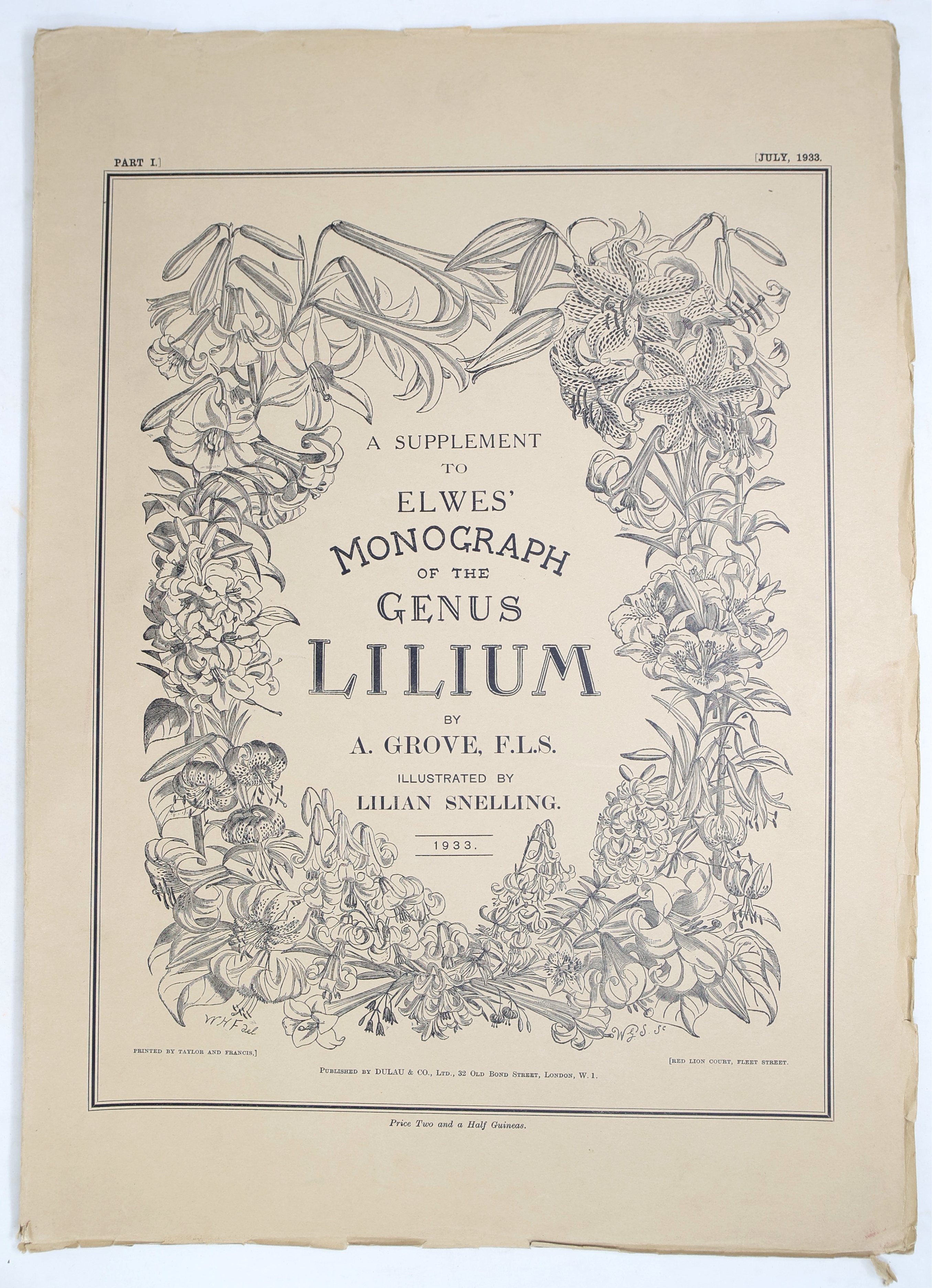 Artwork by Henry John Elwes, Elwes Monograph of the Genus Lilium with Supplement, First Edition, Made of mounted photograph