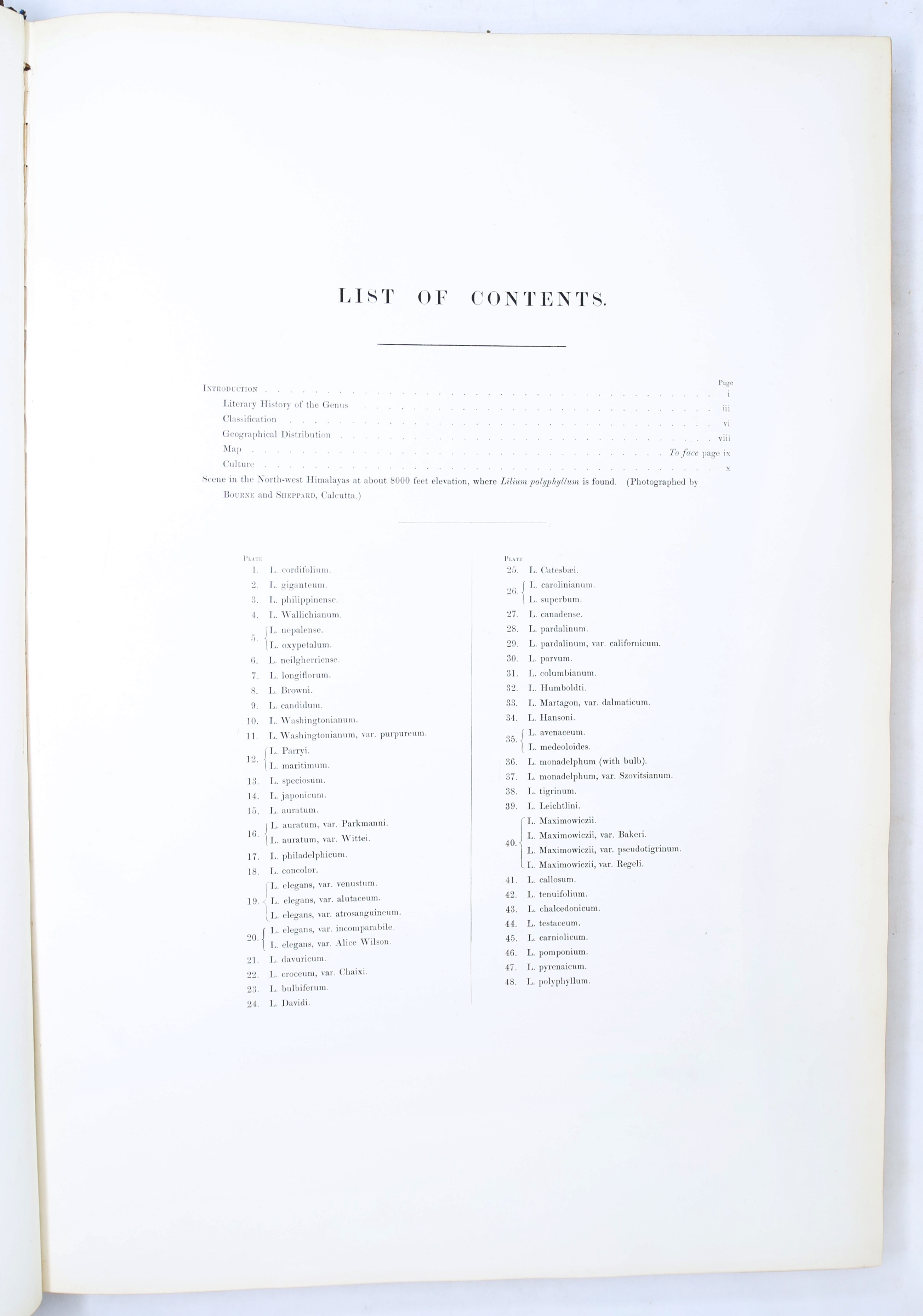 Artwork by Henry John Elwes, Elwes Monograph of the Genus Lilium with Supplement, First Edition, Made of mounted photograph