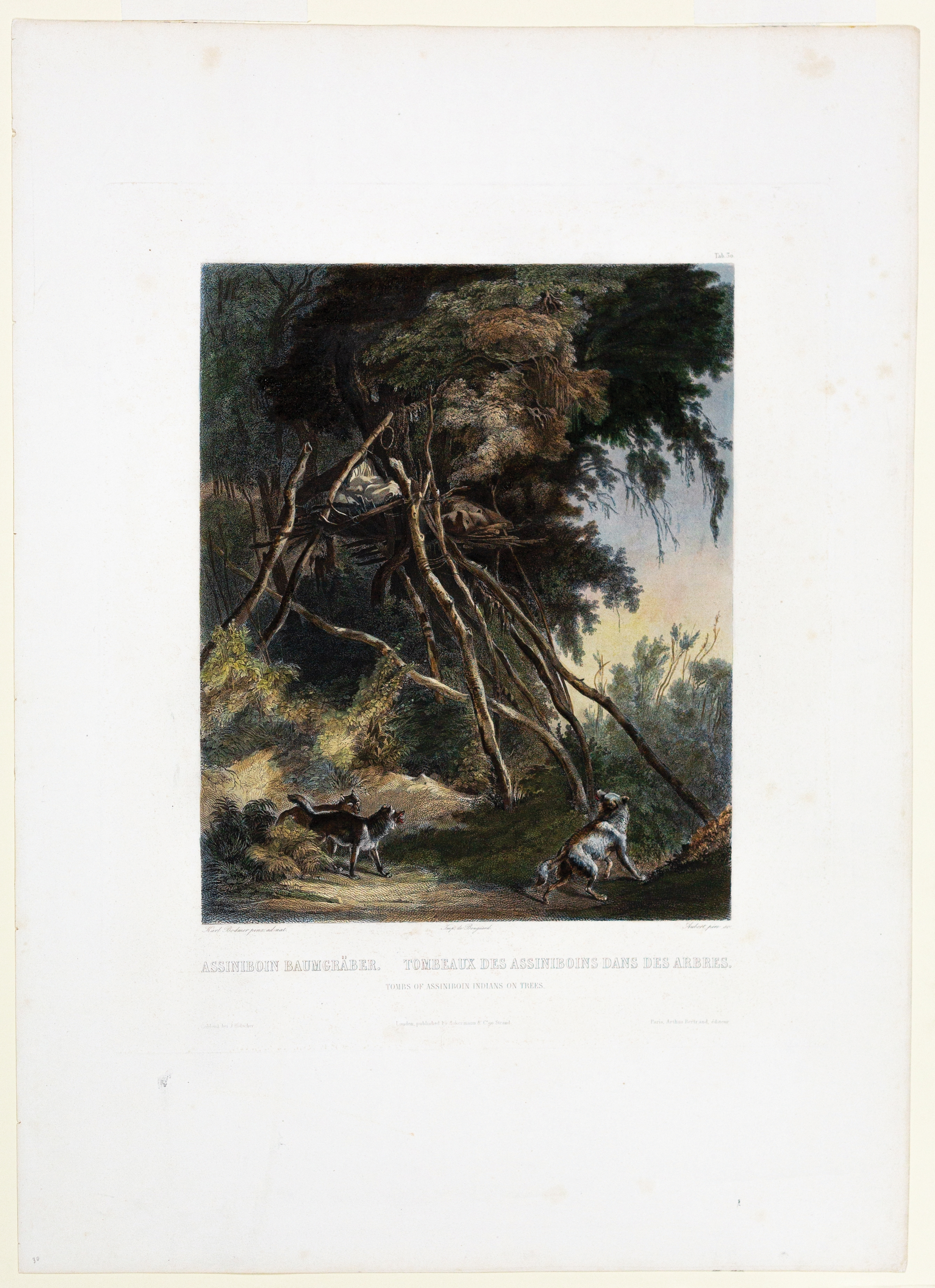 Karl Bodmer | Bodmer, Tab 30, Tombs of Assiniboin Indians | MutualArt