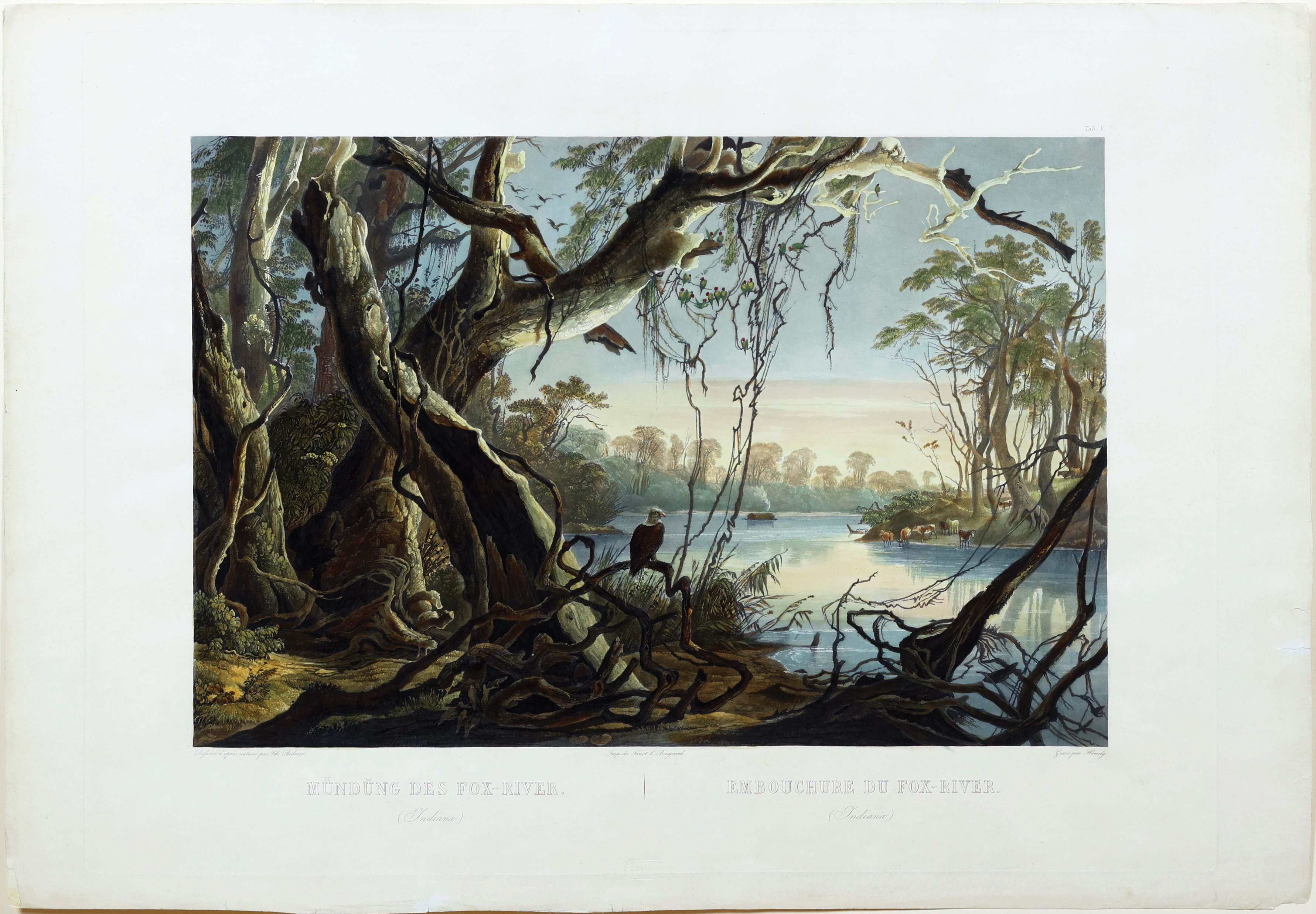 Karl Bodmer | Bodmer, Tab 5, Embouchure du Fox-River | MutualArt