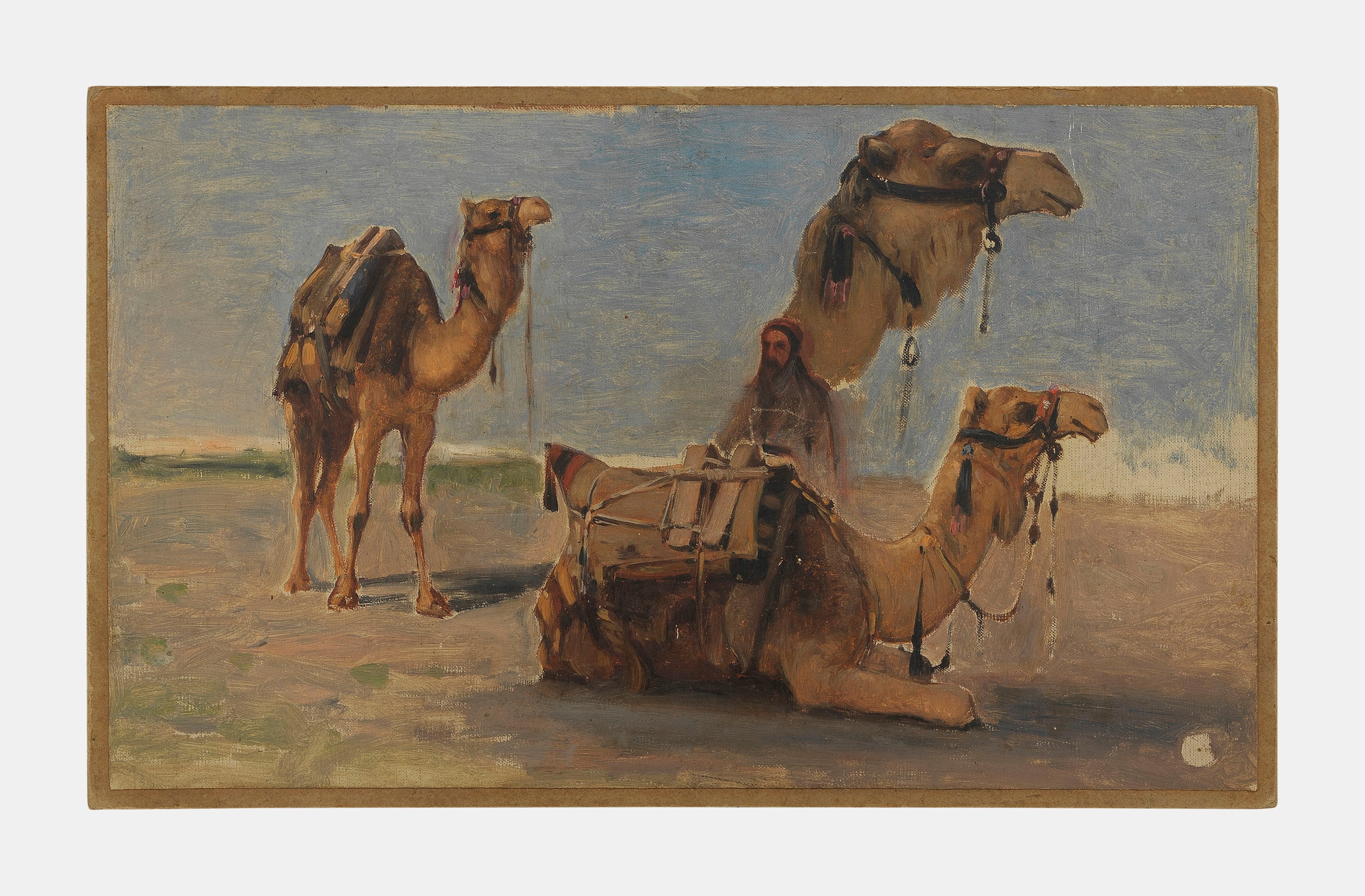 Artwork by Louis-Auguste Veillon, Etude de chameaux, Made of Oil on cardboard