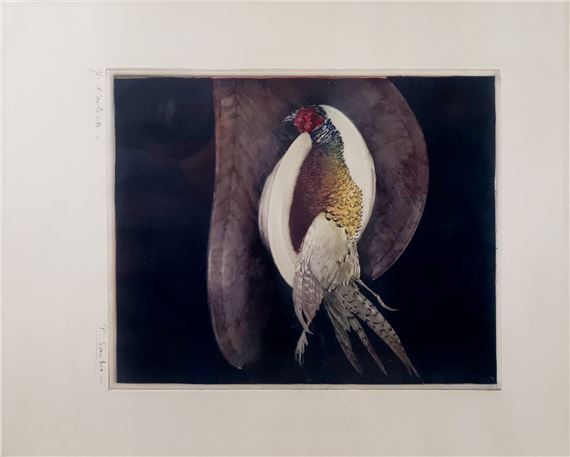 Nature morte au faisan