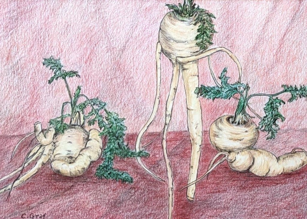 Christa Maria Johanna Theodora Graf | Parsnips | MutualArt