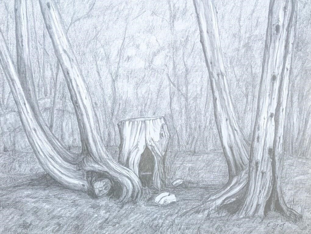 Christa Maria Johanna Theodora Graf | Riverview Zoo | MutualArt